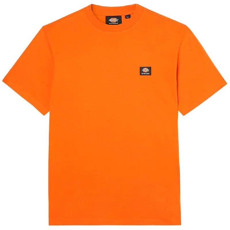 Dickies Mount Vista T-Shirt - Burnt Orange